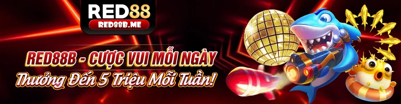 Giao diện ứng dụng 6ff1 khuyến mãi trên điện thoại